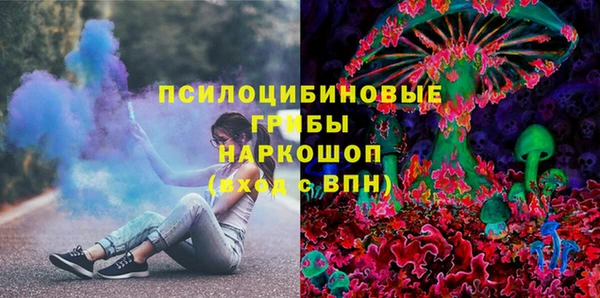 сатива Дмитров
