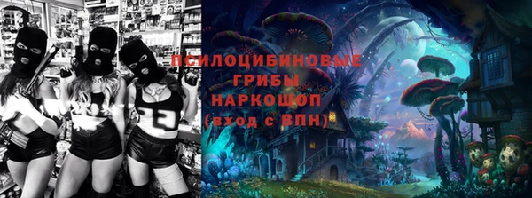 сатива Дмитров